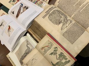 Assorted books containing bird illustrations