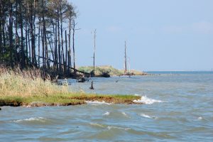 Poplar Island Shoreline in Talbot County, MD, Chesapeake Bay Program. Creative Commons.