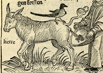 medieval ink drawing of a mule with a bird on it's rear end defecating into a bowl held by a man