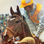 full color photograph of a bay horse with a star and snip marking in a crowd with a jockey in white and yellow silks on his back